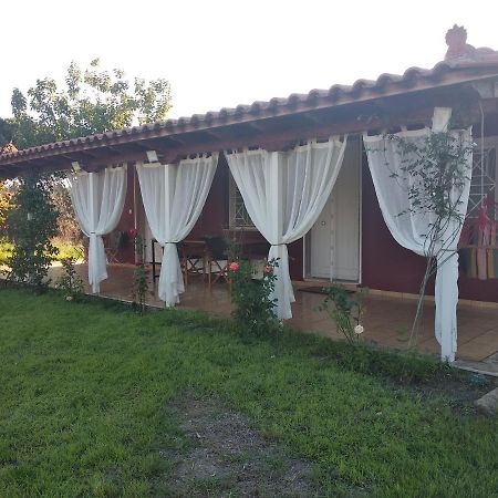 Olive Garden Guest House Kyparissia Bagian luar foto