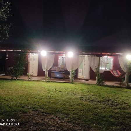 Olive Garden Guest House Kyparissia Bagian luar foto