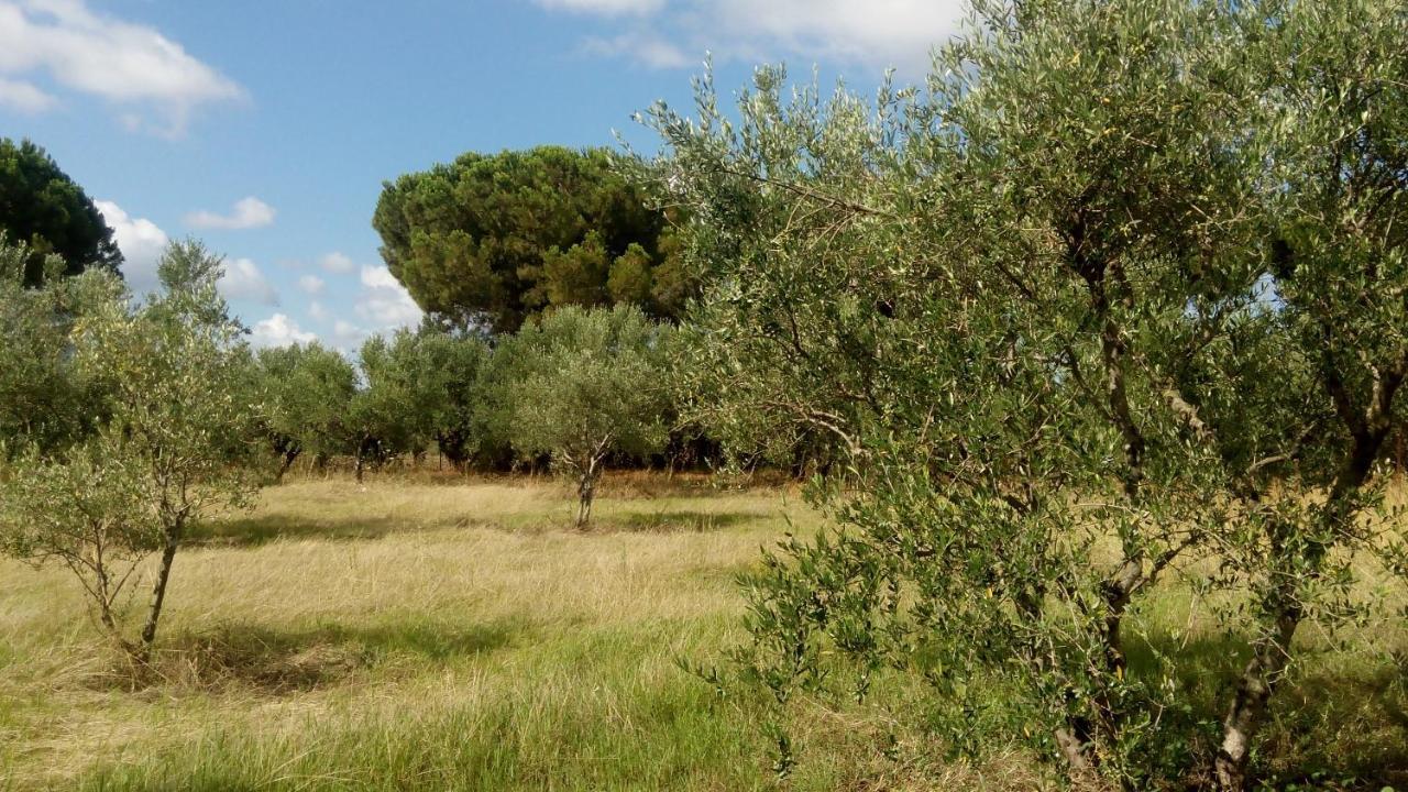 Olive Garden Guest House Kyparissia Bagian luar foto