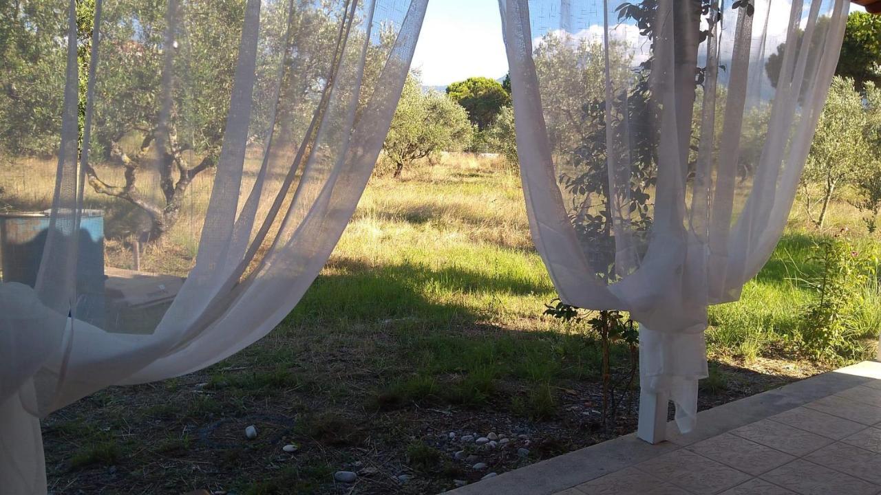 Olive Garden Guest House Kyparissia Bagian luar foto
