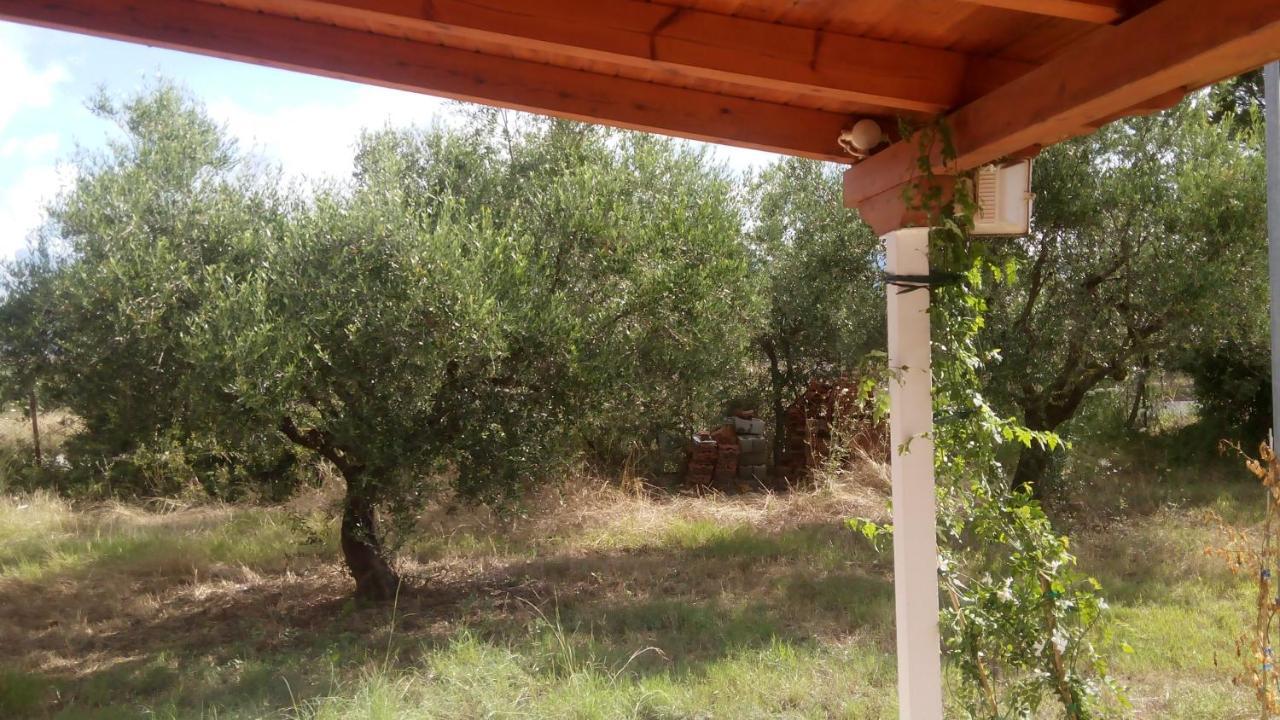 Olive Garden Guest House Kyparissia Bagian luar foto