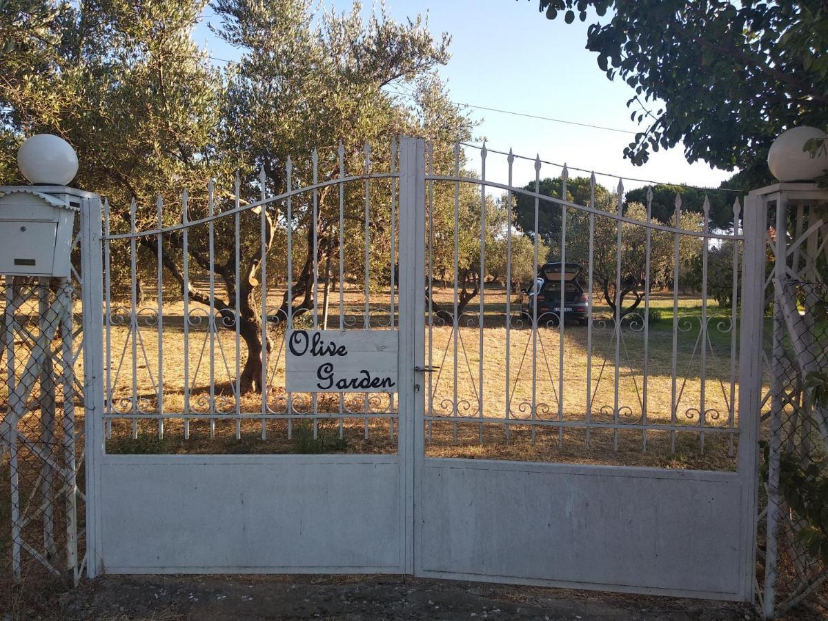 Olive Garden Guest House Kyparissia Bagian luar foto