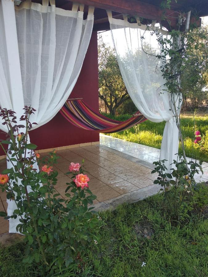 Olive Garden Guest House Kyparissia Bagian luar foto