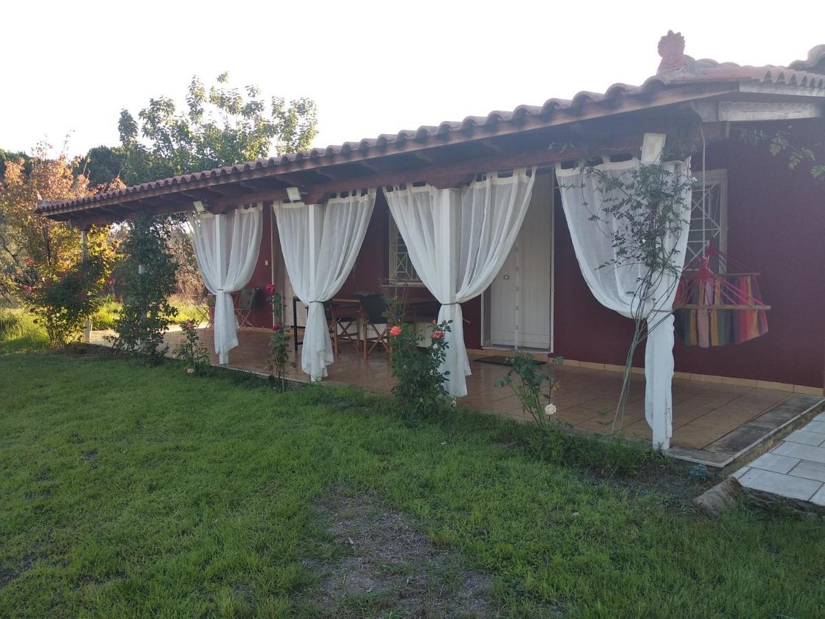 Olive Garden Guest House Kyparissia Bagian luar foto